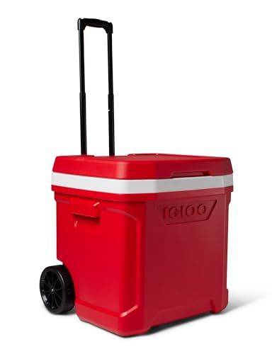 IGLOO Rood Profiel II 60 roller