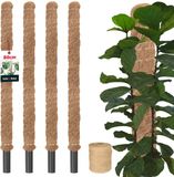 KOTARBAU® 4 st Kokosstok, Plantenstok, ⌀ 3,2 x 80 cm, Kokosstaaf, Klimhulp Monstera, Bruin, Kokosvezel
