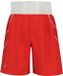 Nike Short Pant Red 2XL Man
