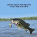 Rhode Island Game Fish and Panfish Species Kids Book