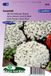 Sluis Garden Schildzaad Sneeuwkleed (alyssum)