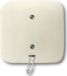 Busch-Jaeger 2CKA001315A0191 - Pull chain switch - White - CE - 250 V - 81 mm - 81 mm