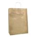 Raylu Paper® - 25 stuks kraftpapieren zakken met stevige handgrepen, 100% recyclebare papieren zakken om te winkelen, snoep of als verjaardagscadeau
