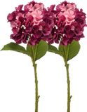Emerald Kunstbloem hortensia tak - 2x - 52 cm - fuchsia