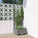 Prolenta Maison Exclusive - Bloembak met trellis, lichtgrijs, 40 x 40 x 121,5 cm, PP