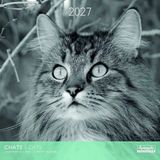 Aquarupella Katten in Zwart Wit Kalender 2027