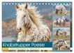 Knabstrupper Calvendo Knabstrupper Poesie. Gescheckte Eleganz im Farmsommer (Tischkalender 2027 DIN A5 quer)