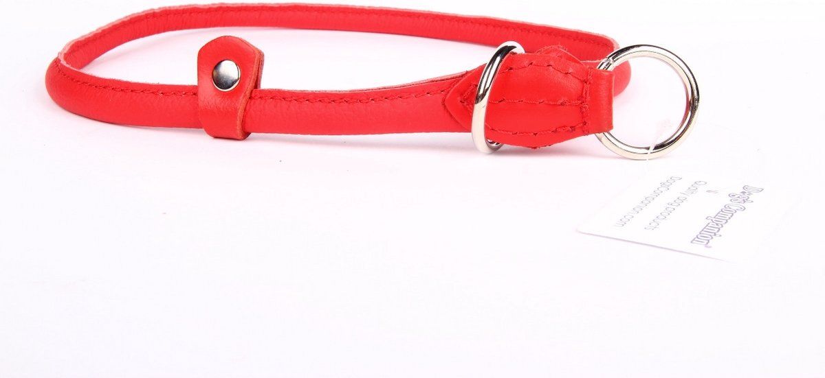 Dog's Companion - Leren sliphalsband - 65 cm x 10 mm - Rood