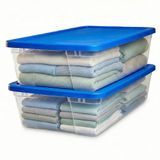 HOMZ Duidelijke Opslagbak met Deksel, Plastic Hars, Blauw, Large-41 Quart