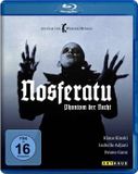 Plaion Nosferatu - Phantom der Nacht (Blu-ray)
