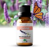 Zenful Hysop Etherische Olie - 100% Puur - Biologisch - Natuurlijk - Vegan - Aromatherapie - 10ml