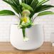 Décoration résistante aux intempéries pour le jardin - Set de 3 grenouilles