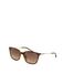 ARMANI EXCHANGE Zonnebril lichtbeige / donkerbruin