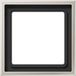 Jung ES2981 Afdekraam Schakelmateriaal - 1-voudig - Aluminium/Staal/Chroom - Mat - Grijs