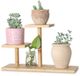 QUMENEY Bamboe plantenstandaard voor binnen, mini 3-laags mini-tafelblad, houten vetplantenstandaard, bureauorganizer displayrek voor buiten, bureau, tuin, balkon, terras