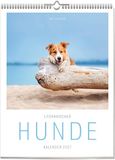 Ars Vivendi Calendrier littéraire pour chiens 2027