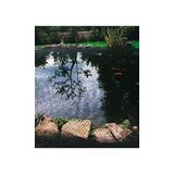 Siena Tuin Vijver Mesh Cover 4 x 10 m 20 x 20 mm Bands