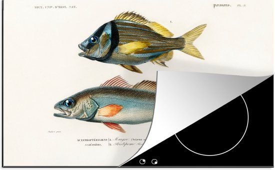 KitchenYeah® Inductie beschermer 77x51 cm - Vis - Vintage - Realisme - Inductiebeschermer voor Inductie Kookplaat