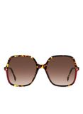 GAFAS CAROLINA HERRERA HER 0244/S HAVANA RED 56mm Polarized Sunglasses