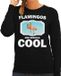 Bellatio Decorations Bol Dieren flamingo vogels sweater zwart dames - flamingos are serious cool trui - cadeau sweater flamingo/ flamingo vogels liefhebber L
