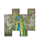 Homemania Wandafbeelding, motief: vogels, 4 stuks, voor woonkamer, slaapkamer, meerkleurig, 76 x 0,3 x 50 cm, HM204PMDF250, MDF