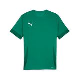 PUMA teamGOAL Matchday Jersey Heren Sportshirt - Groen/Wit
