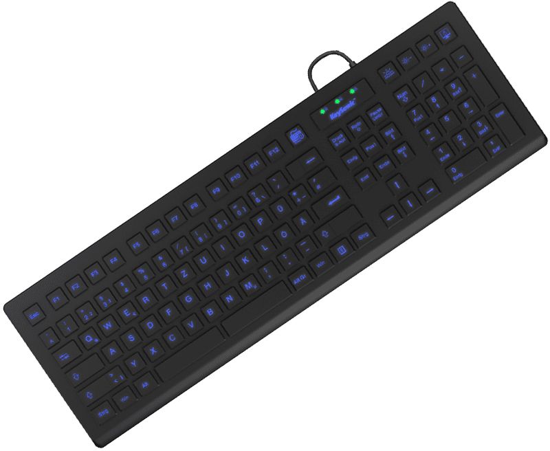KeySonic KSK-8031INEL-B (DE) Industrieel USB QWERTZ Duits Zwart