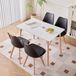 StarTech Essgroep Rechthoekige eettafel met 4 stoelen 110 cm Minimalistisch modern design Kunststof frame Zwart