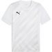Puma Kindertrui teamGoal Graphic