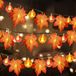 Merkloos / Sans marque Holland Connections Pompoen lichtketting - Esdoornblad 6 m 40 leds