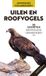 Uilen ANWB Basis Natuurgids - Uilen en roofvogels