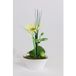 Dimhaut Composition Coupe Gerberas Artificiels Vase Porcelaine H 26 cm - Crème