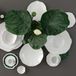 Villeroy & Boch Pura Ontbijtbord 22 cm