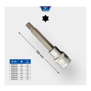 Brilliant Tools Brilliant Tools 1/2" RIBE-bitdop, 100 mm lang, M9 Aantal:1