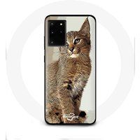 Maniacase Etui voor Samsung Galaxy S11 Plus Siamese kattenras