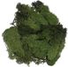 Glorex Hobby Decoratie nep mos 50 gram - 4x - groen