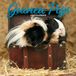 Magnet & Steel Cavia Kalender 2027 Wandkalender Dieren
