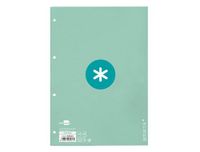 Liderpapel Antartik navulverpakking met 80 geruite vellen, 90 g/m², 5 mm, 4 boren, met frame, mintkleuren