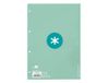 Liderpapel Antartik navulverpakking met 80 geruite vellen, 90 g/m², 5 mm, 4 boren, met frame, mintkleuren