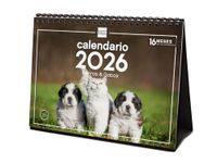 Finocam - Tafelkalender 2026 Maandoverzicht januari - december 2026 + sep - december 2025 (4 maanden) verlaagd | Kalender 2026 | Afbeeldingen Honden en katten - Spaans