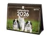 Finocam - Tafelkalender 2026 Maandoverzicht januari - december 2026 + sep - december 2025 (4 maanden) verlaagd | Kalender 2026 | Afbeeldingen Honden en katten - Spaans
