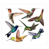NeutypeChic Vogelstickers voor ramen, 7 stuks raamstickers ter bescherming tegen vogels