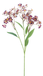Nova Nature Daphne Elena spray purple/red 72cm