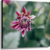 Merkloos / Sans marque Take your time Canvas - Roze Bloem met Groene Achtergrond - 100x100 cm Foto op Canvas Schilderij (Wanddecoratie op Canvas)