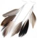 LGT JWLS Lookinggoodtoday Veren oorbellen Summer Feather Grey