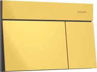 hansgrohe iFrame Element E - Drukplaat WC van metaal, Bedieningsplaat WC, Dubbele spoeling, voor hansgrohe iFrame universal inbouwreservoir, polished gold optic, 66003990