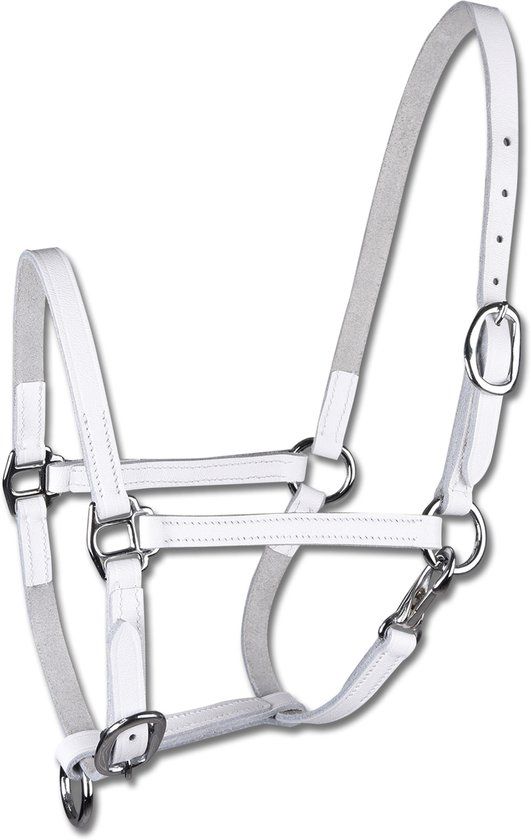 STAR Foal Show Halter - White - Full
