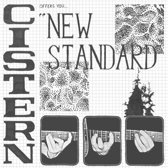 news Cistern - New Standard (LP)