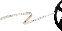 Barthelme Basic 60 51541128 LED-strip Met open kabeleinde 12 V 5 m Warmwit 1 stuk(s)