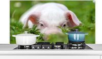 KitchenYeah Spatscherm keuken 120x60 cm - Varken - Aluminium